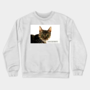 Tabby Mammy Crewneck Sweatshirt